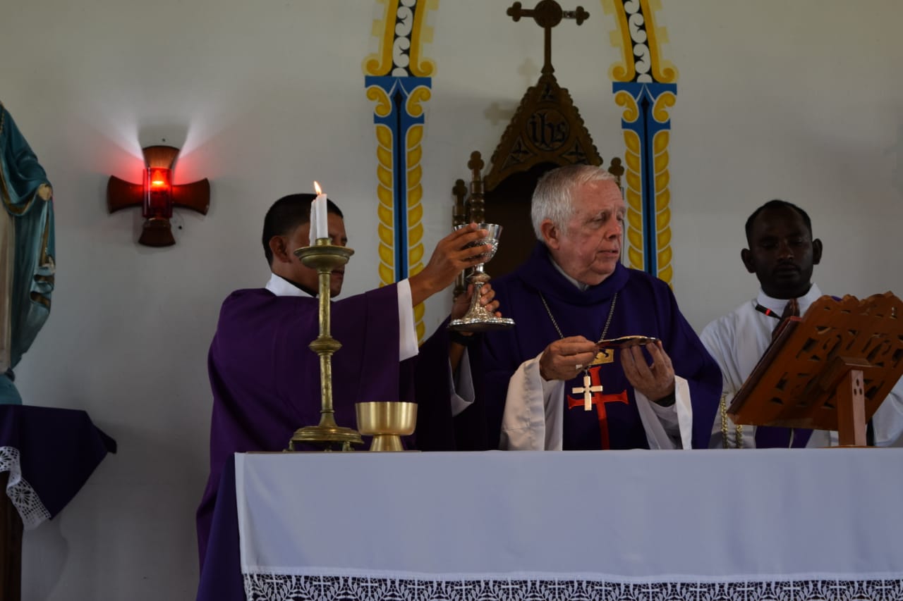 Diaconate Ordination in Guyana March 2020 20 - IVE America