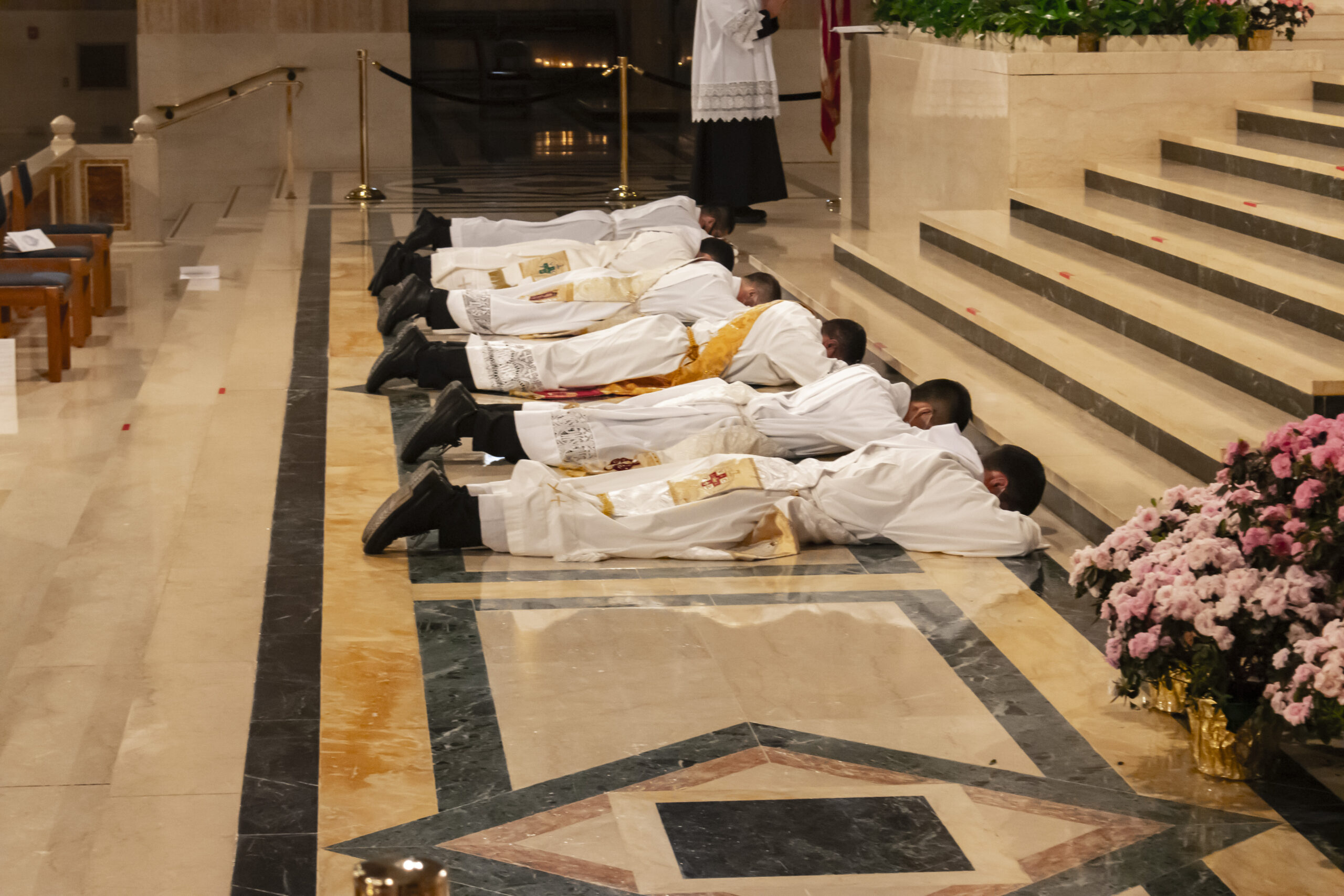 2021Ordinations Prostrate1 scaled - IVE America