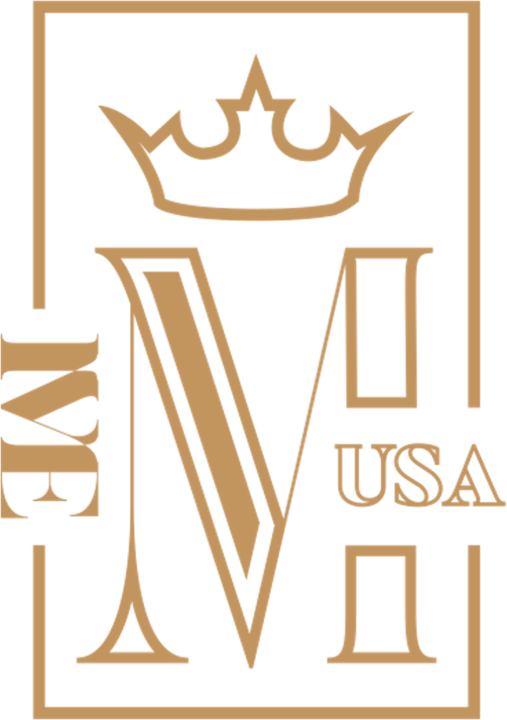IVE Meeting Logo 2 - IVE America